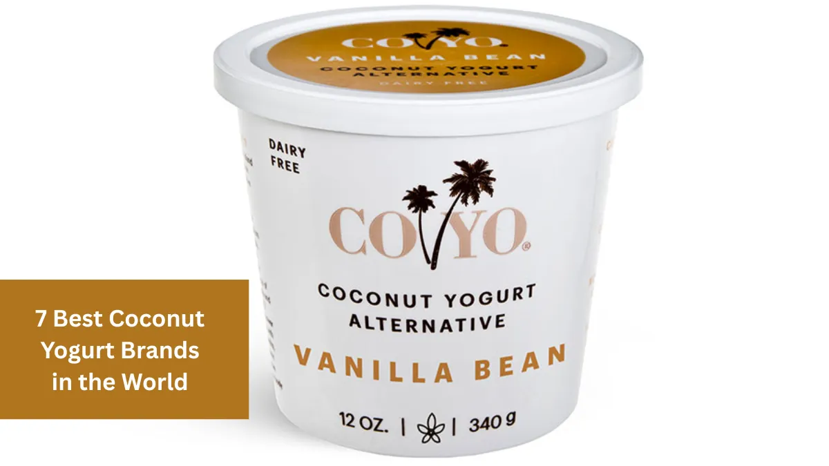 7 Best Coconut Yogurt Brands in the World