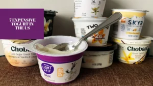 7 Expensive Yogurt In The Us