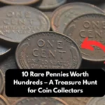 10 Rare Pennies Worth Hundreds – A Treasure Hunt for Coin Collectors