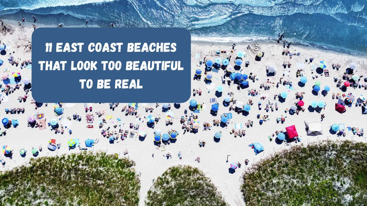 11 East Coast Beaches That Look Too Beautiful To Be Real
