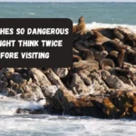 13 Beaches So Dangerous You Might Think Twice Before Visiting